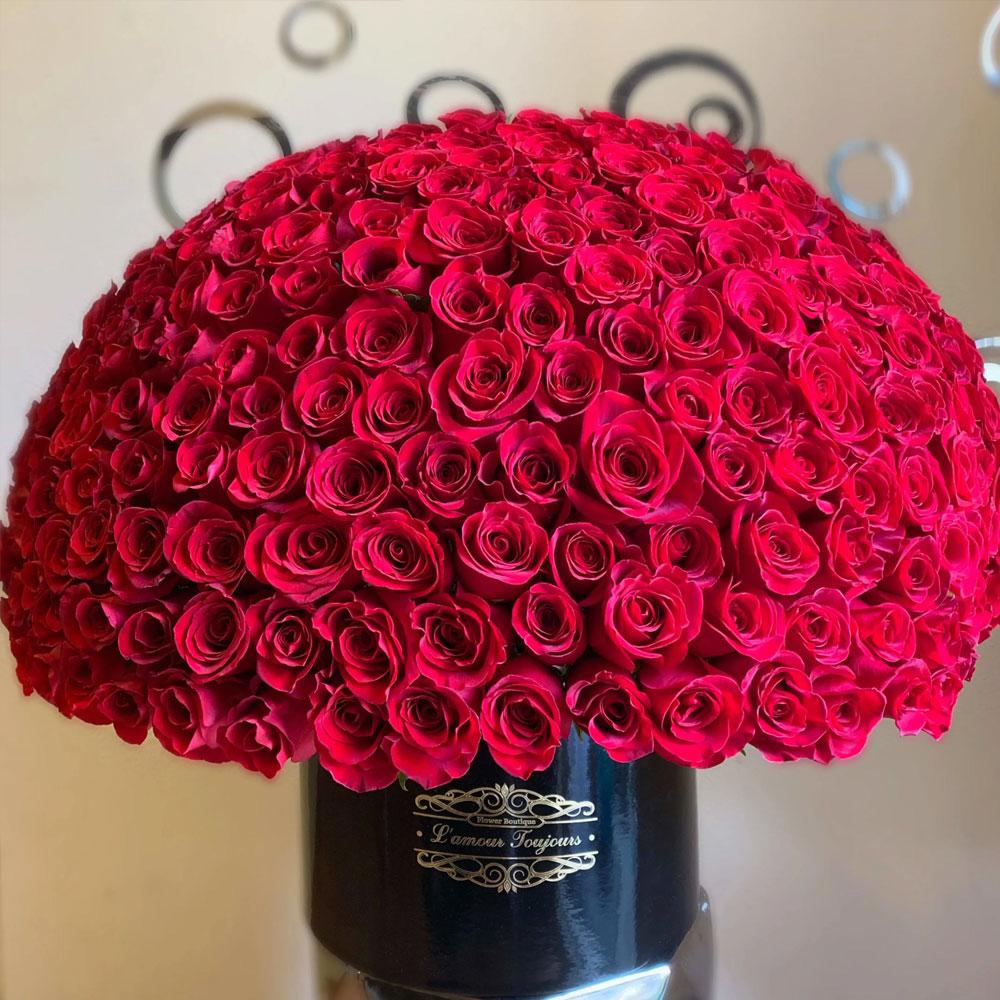 Red Roses